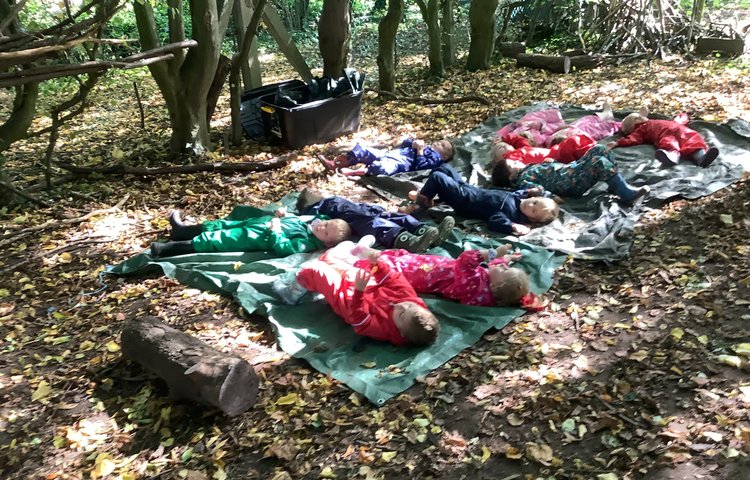 Image of Meditation in the woods!