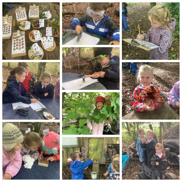 Image of Autumn Forest School